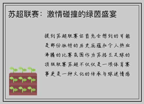 苏超联赛：激情碰撞的绿茵盛宴