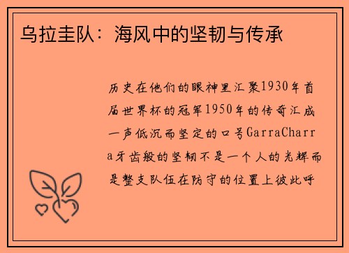 乌拉圭队：海风中的坚韧与传承